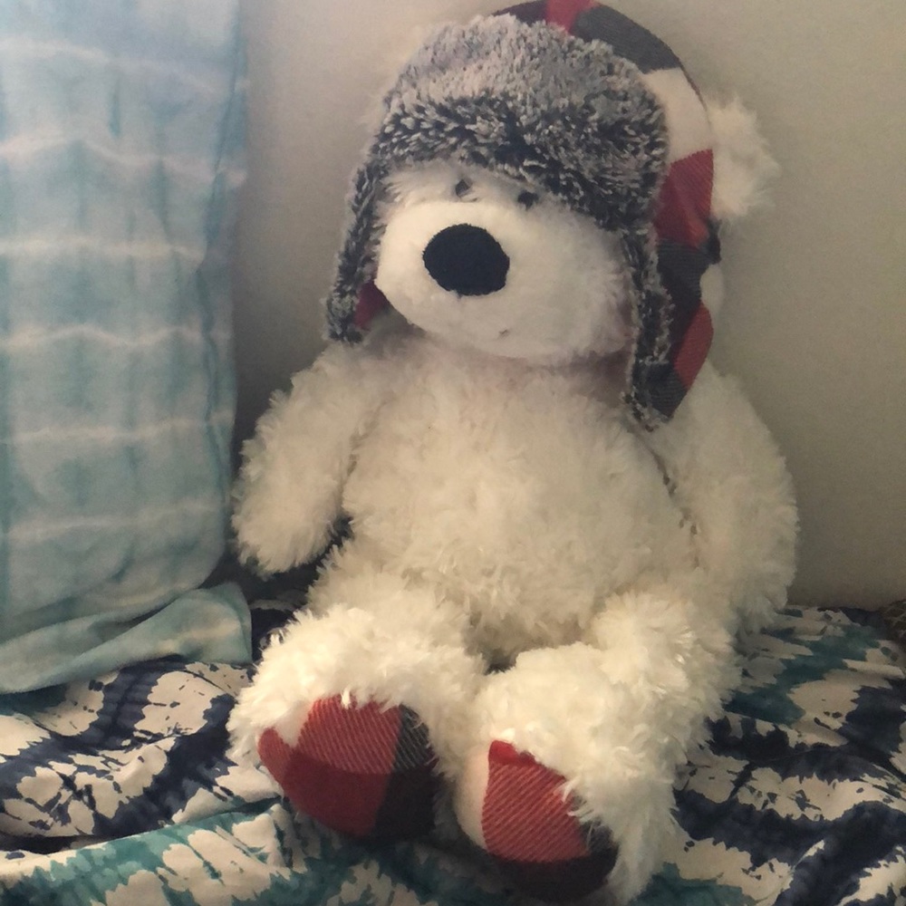 Teddy Bear 🐻💖